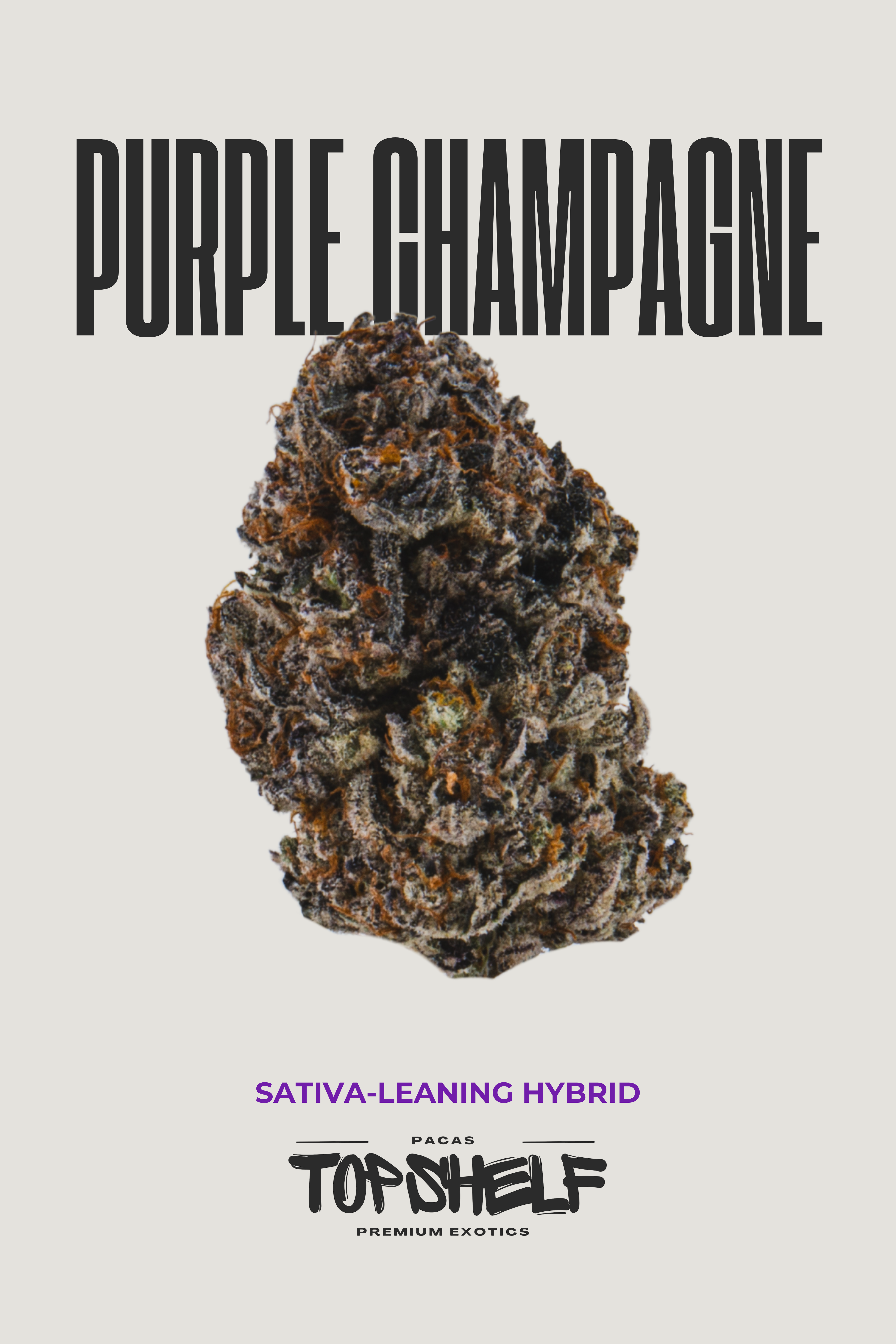 Purple Champagne