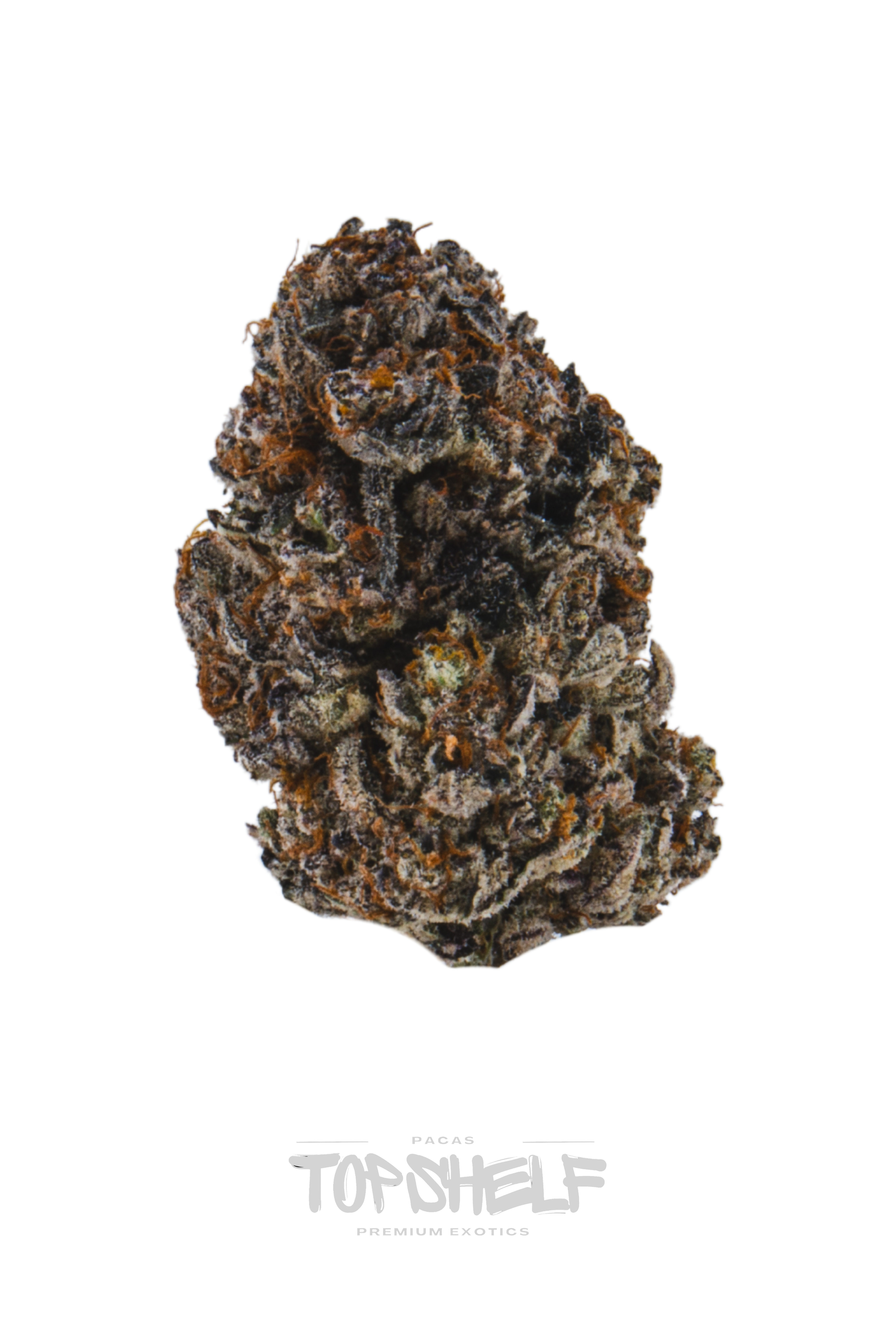 Purple Champagne