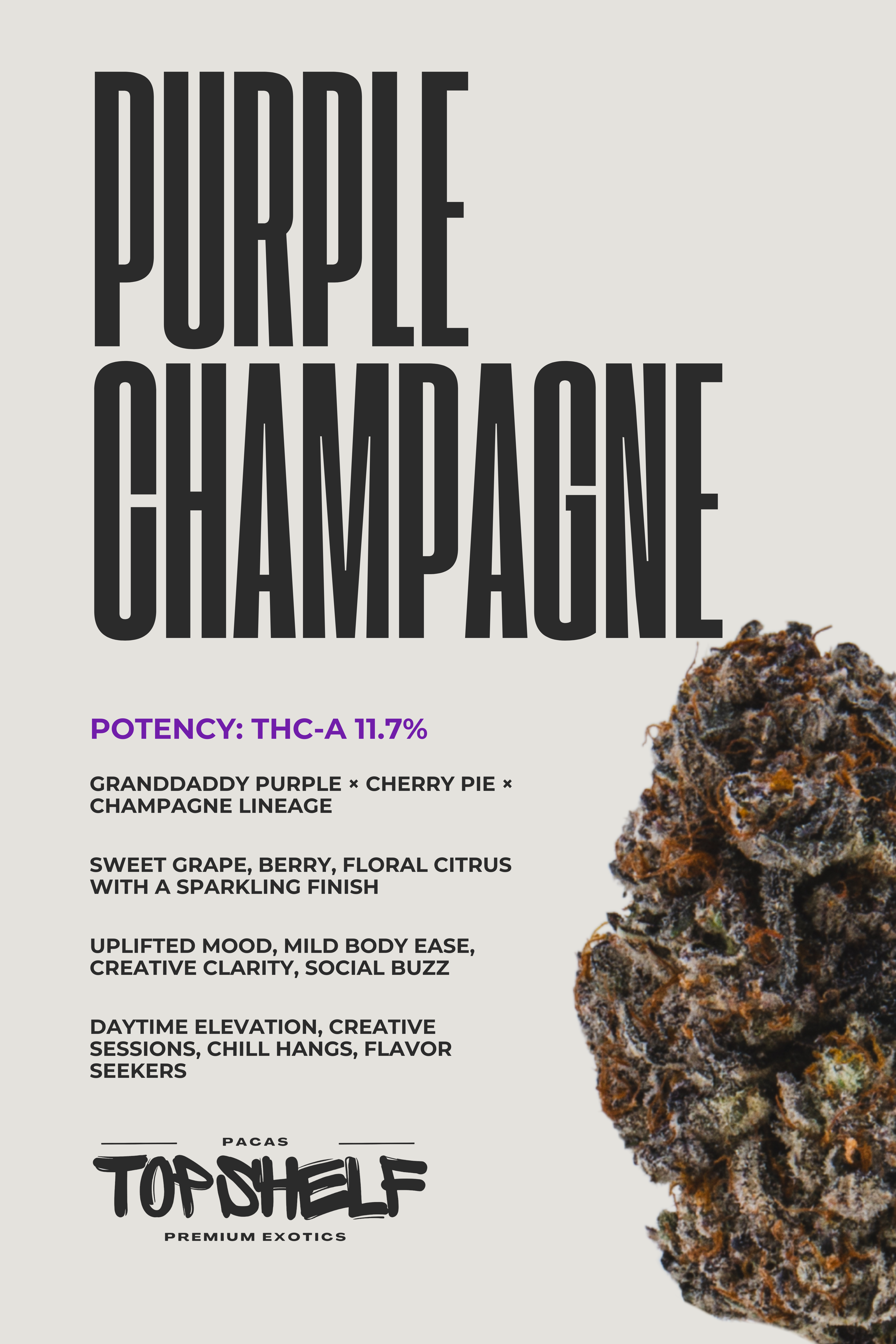 Purple Champagne