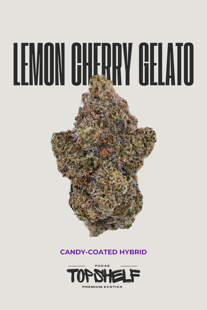 Lemon Cherry Gelato