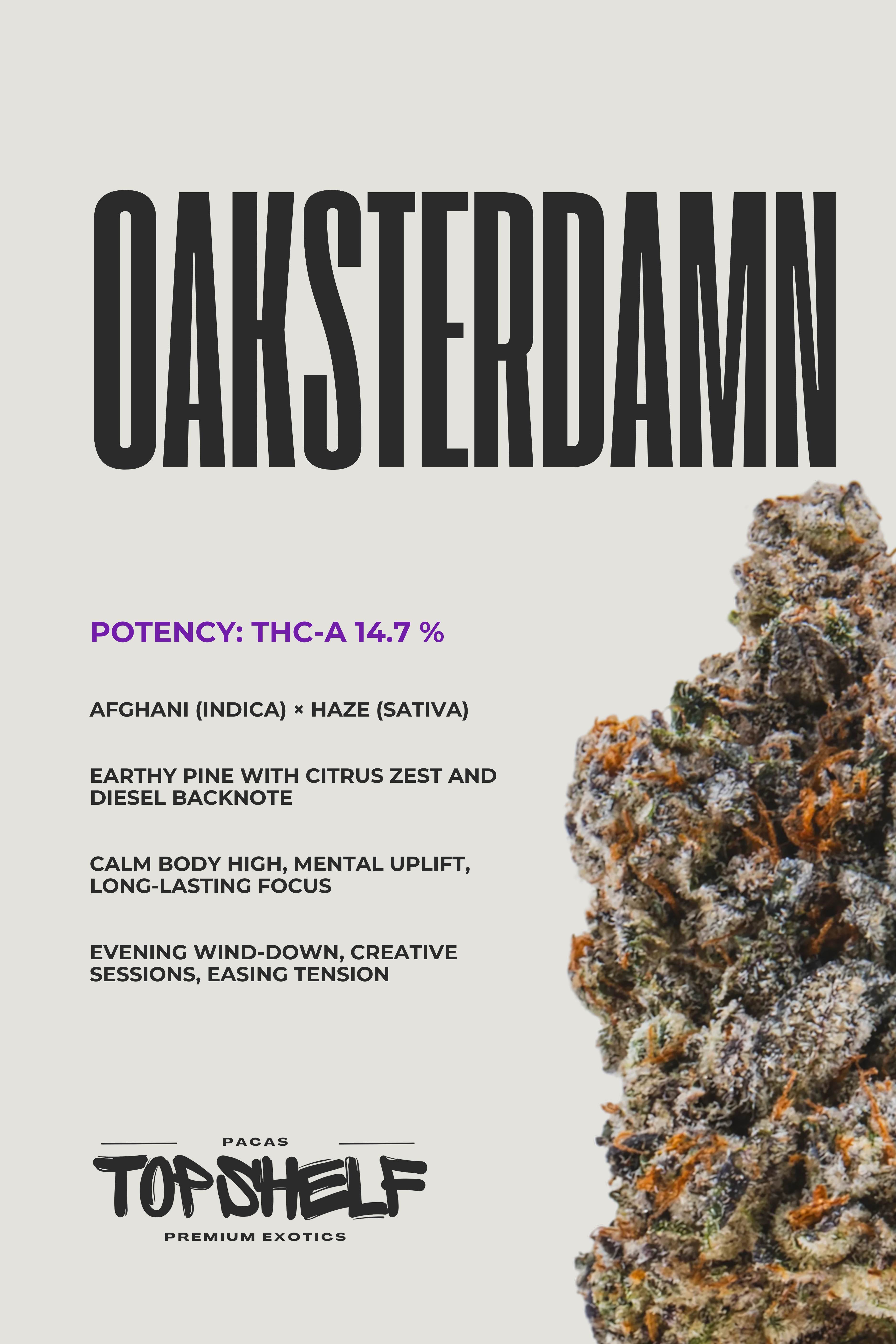 Oaksterdamn