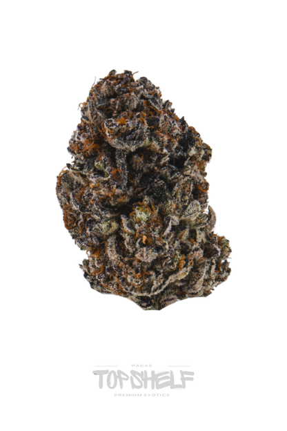 Purple Champagne