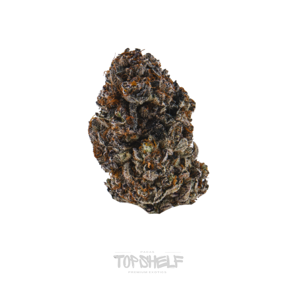 Purple Champagne