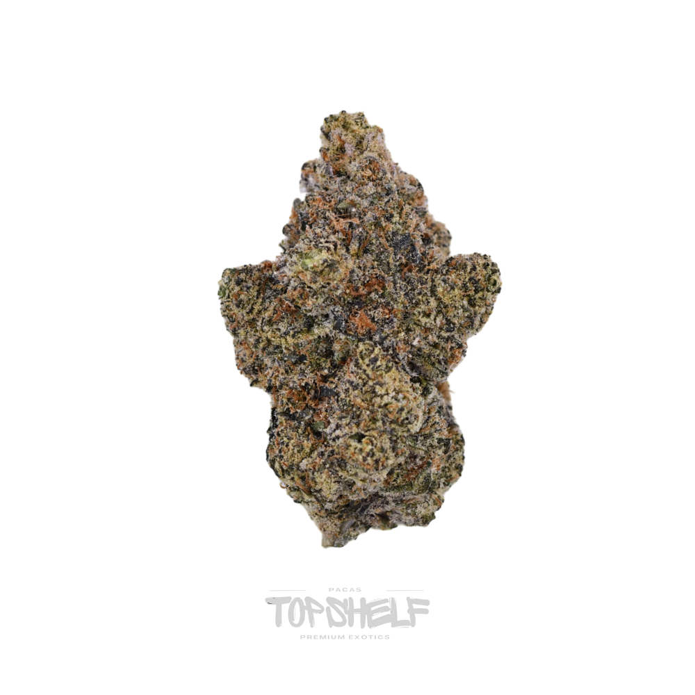Lemon Cherry Gelato